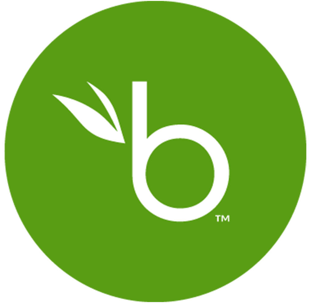 BambooHR logo